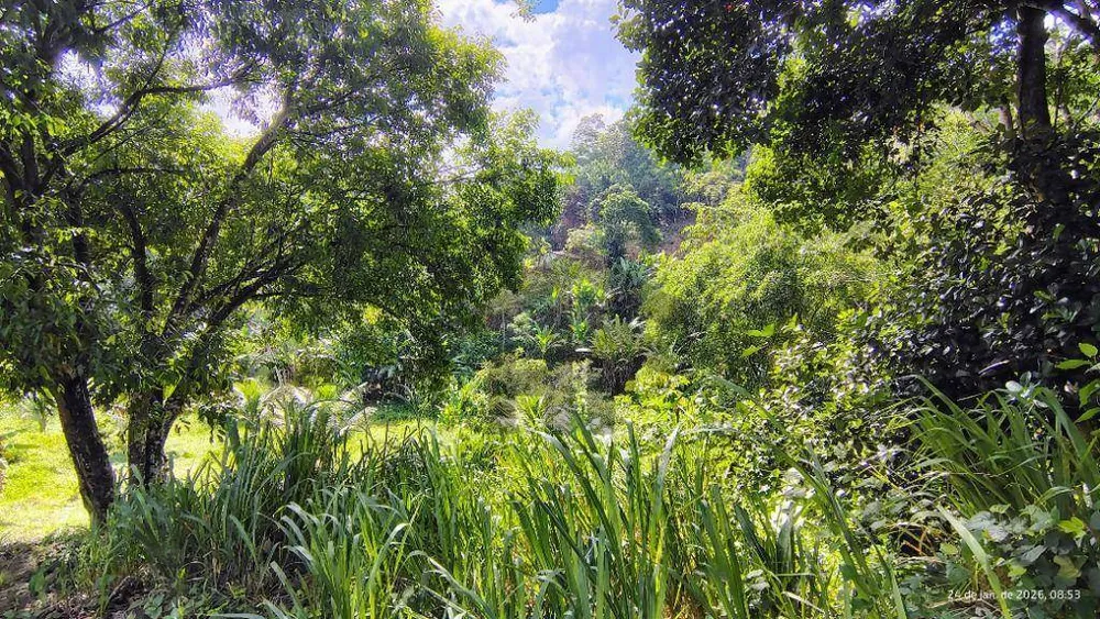 Terreno, 2 hectares - Foto 1