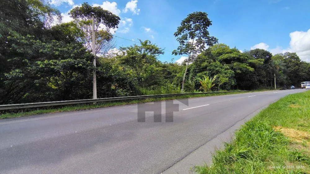 Terreno, 2 hectares - Foto 8