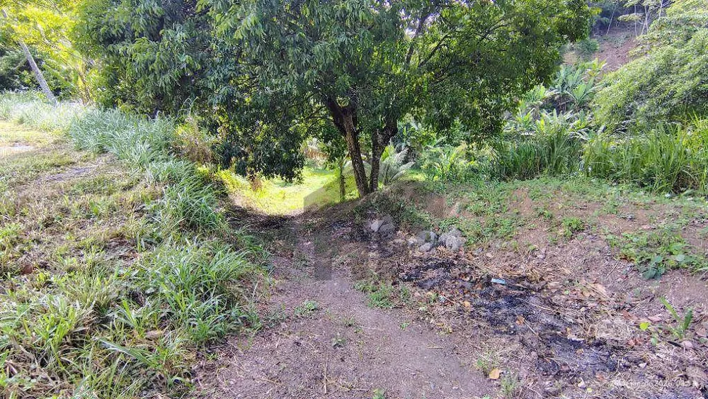 Terreno, 2 hectares - Foto 12