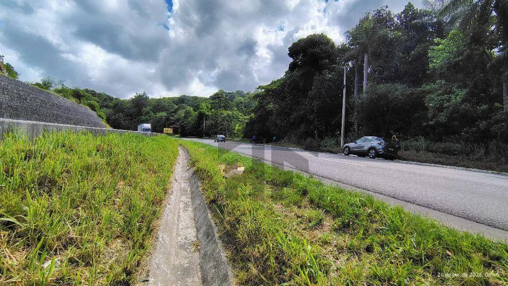 Terreno, 2 hectares - Foto 4