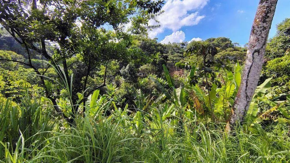 Terreno, 2 hectares - Foto 1