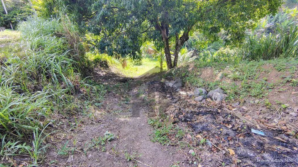Terreno, 2 hectares - Foto 3