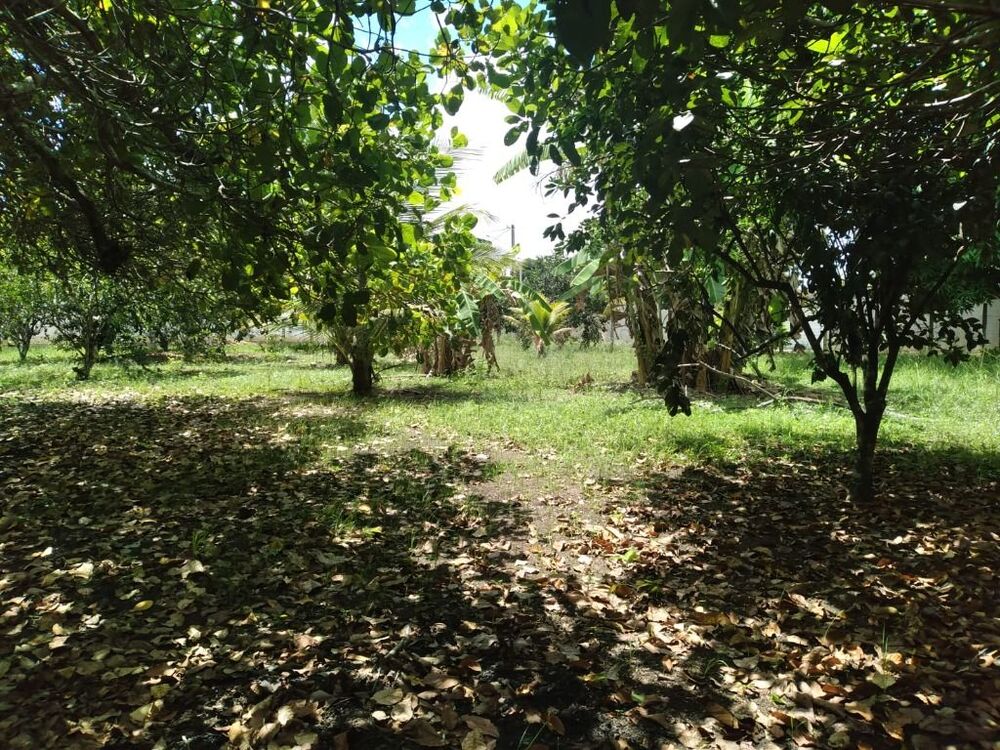 Terreno, 2800 m² - Foto 2