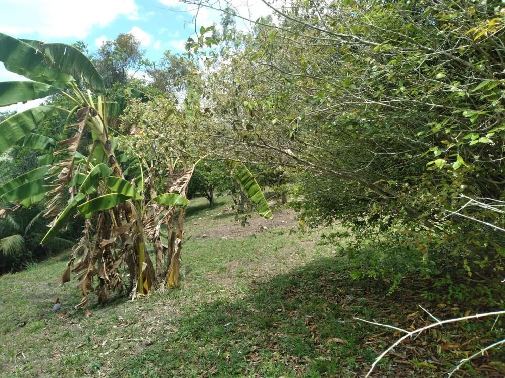 Terreno, 2800 m² - Foto 8
