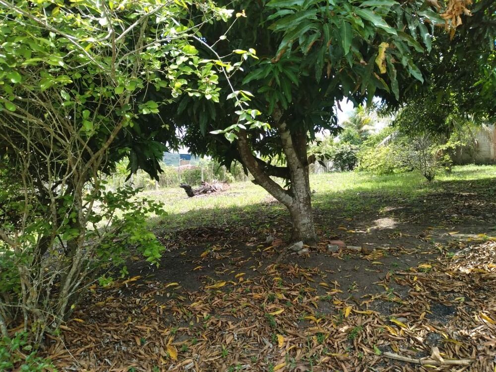 Terreno, 2800 m² - Foto 1