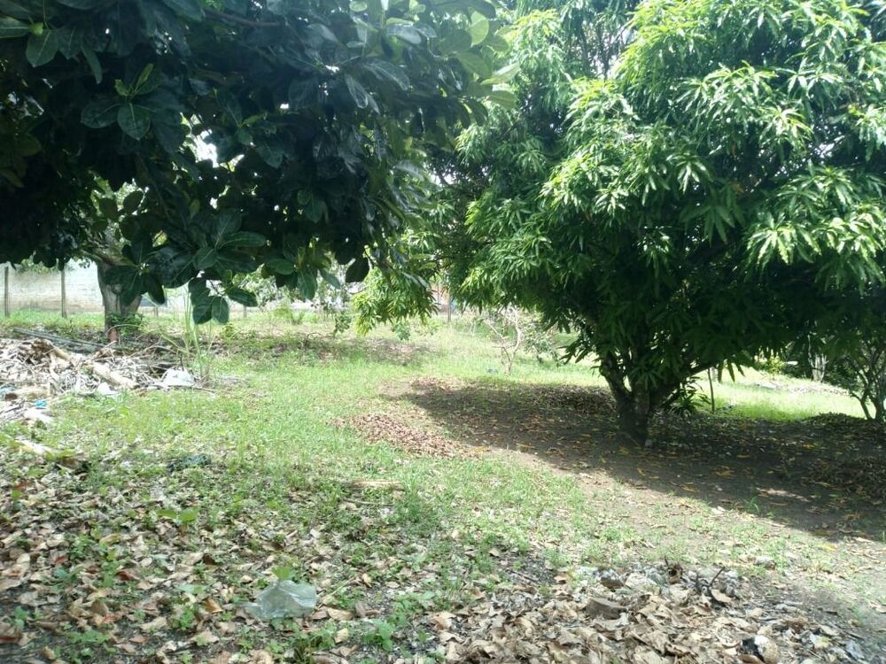 Terreno, 2800 m² - Foto 10