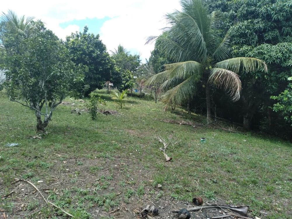 Terreno, 2800 m² - Foto 12
