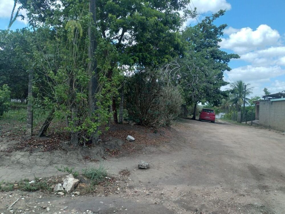 Terreno, 2800 m² - Foto 6