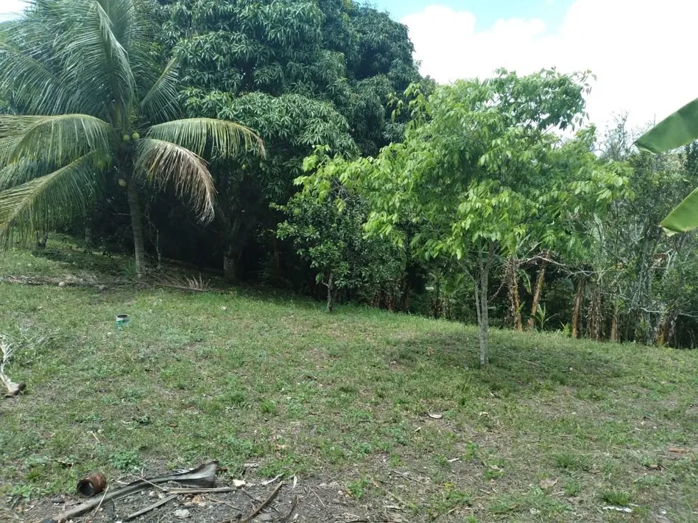 Terreno, 2800 m² - Foto 9