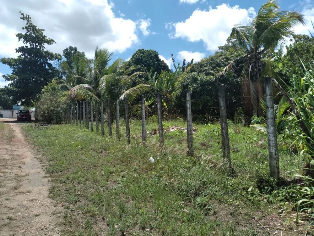 Terreno, 2800 m² - Foto 4
