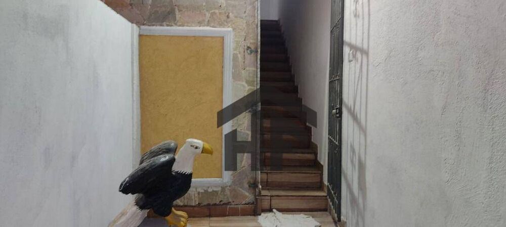 Casa, 6 quartos, 186 m² - Foto 7