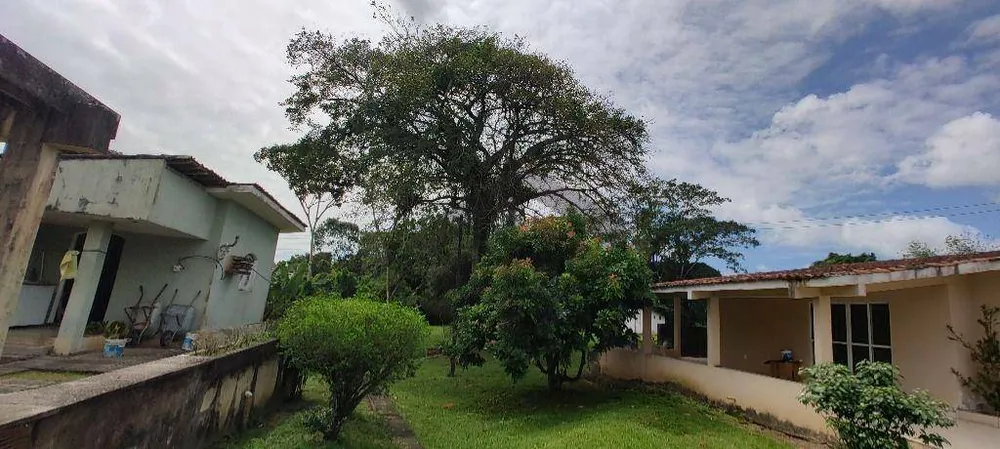 Terreno, 3393 m² - Foto 9