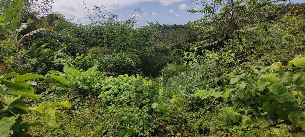 Terreno, 3393 m² - Foto 5
