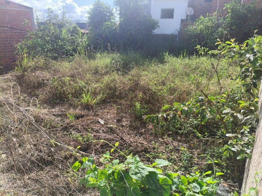 Terreno, 270 m² - Foto 4