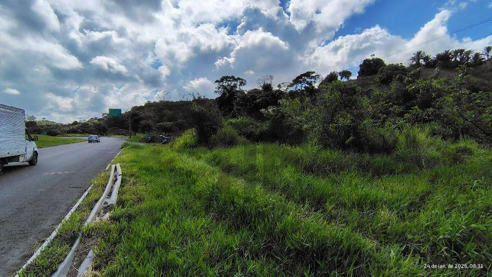 Terreno, 4 hectares - Foto 10