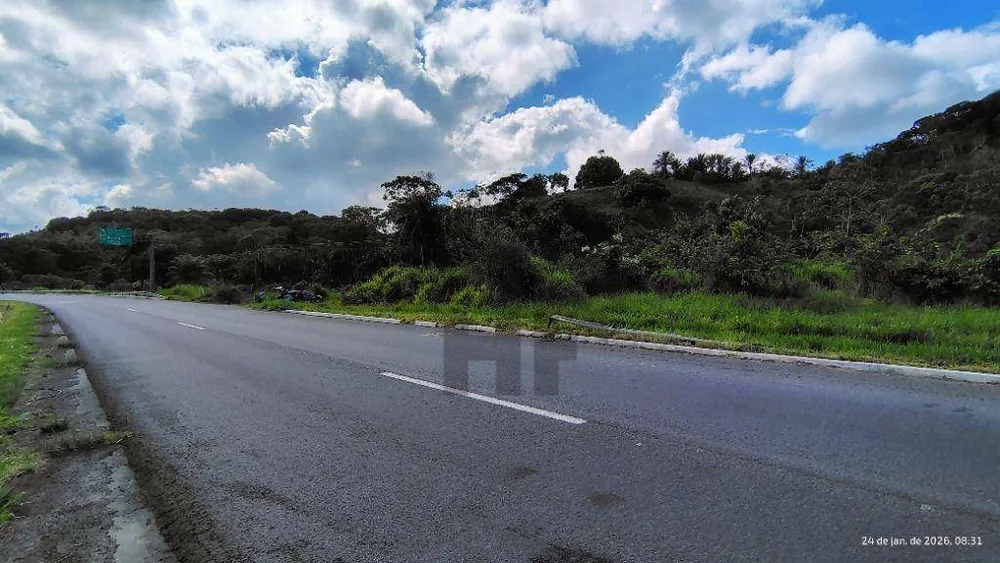 Terreno, 4 hectares - Foto 4