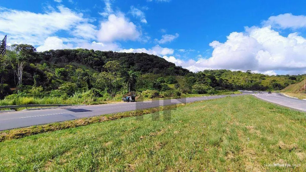 Terreno, 4 hectares - Foto 3