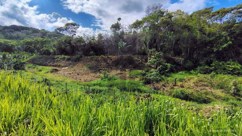 Terreno, 4 hectares - Foto 6