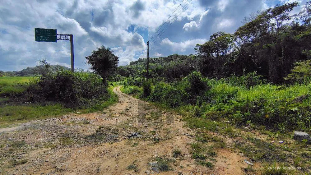Terreno, 4 hectares - Foto 3