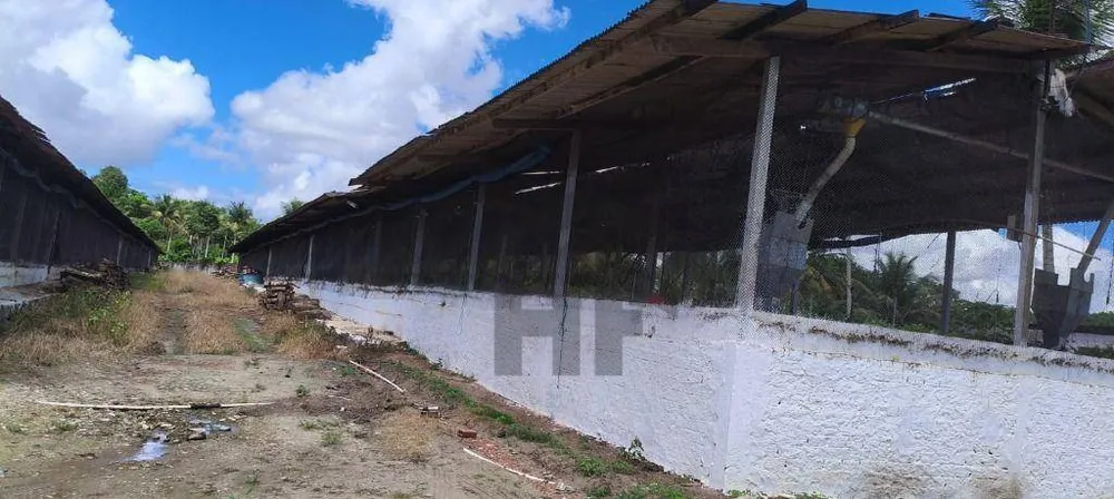 Chácara, 3 quartos, 11 hectares - Foto 6