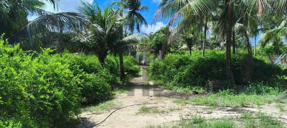Chácara, 3 quartos, 11 hectares - Foto 8
