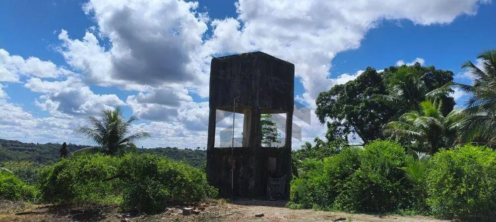 Chácara, 3 quartos, 11 hectares - Foto 7