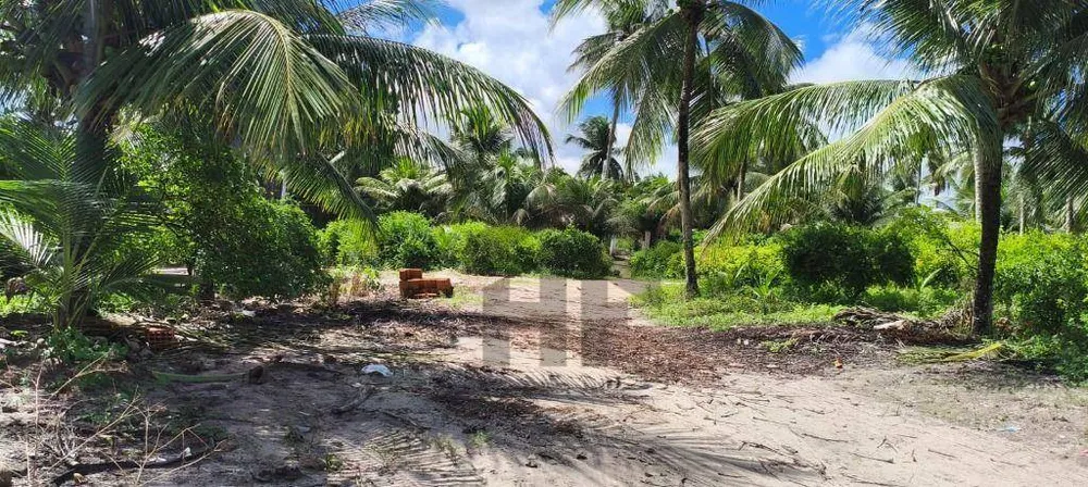 Chácara, 3 quartos, 11 hectares - Foto 12