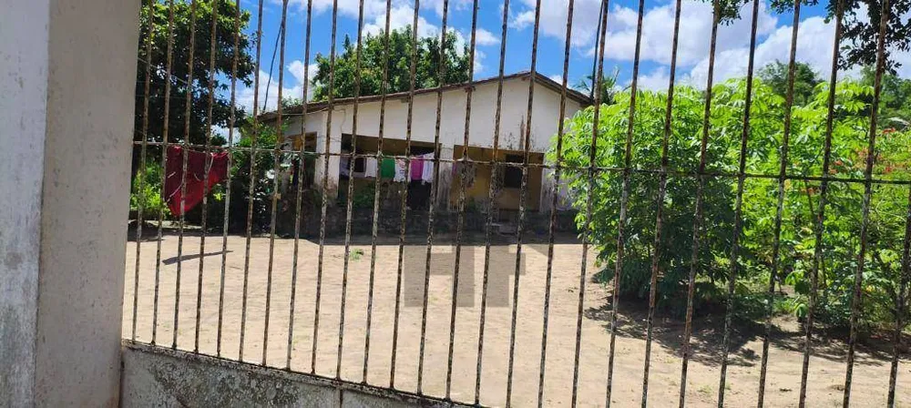 Chácara, 3 quartos, 11 hectares - Foto 2