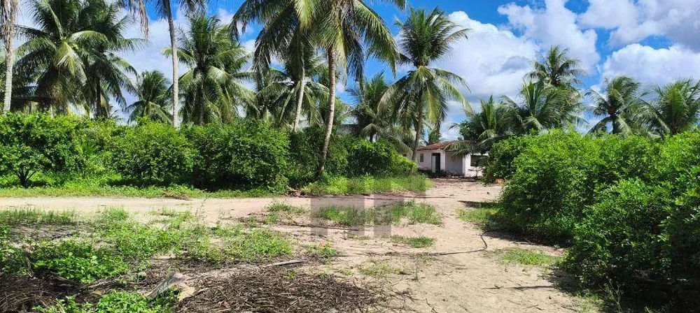 Chácara, 3 quartos, 11 hectares - Foto 3