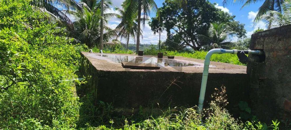 Chácara, 3 quartos, 11 hectares - Foto 4