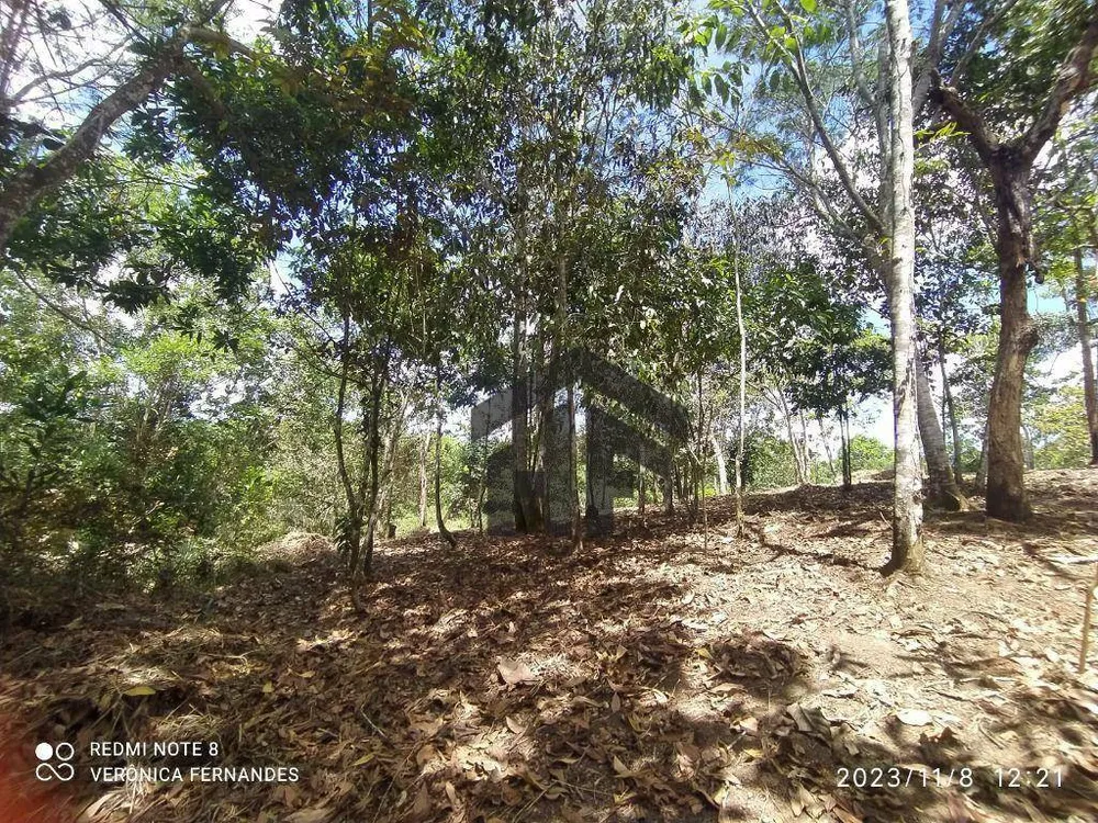 Terreno, 5226 m² - Foto 6