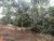 Terreno, 5226 m² - Foto 3