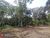 Terreno, 5226 m² - Foto 6