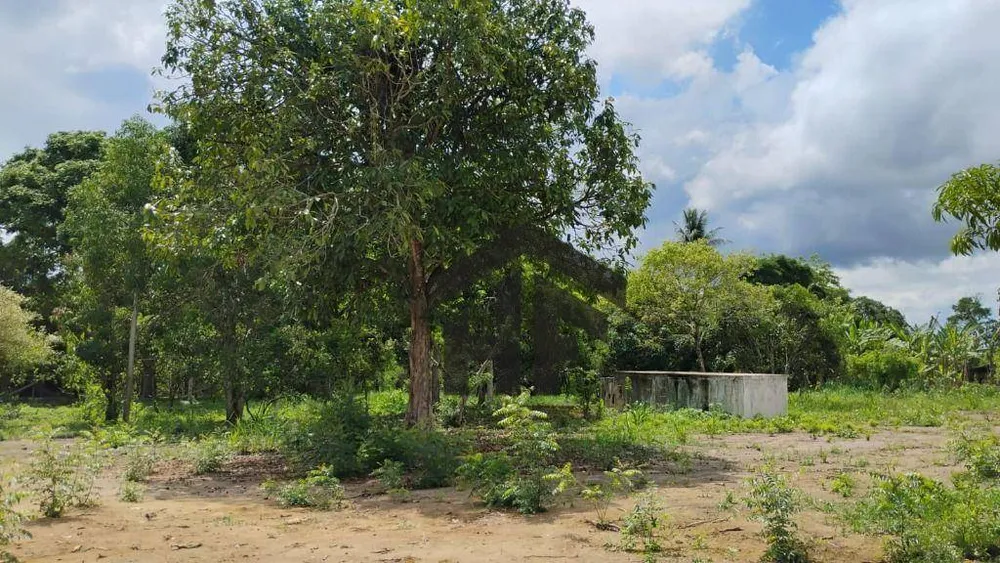 Terreno, 8 m² - Foto 6