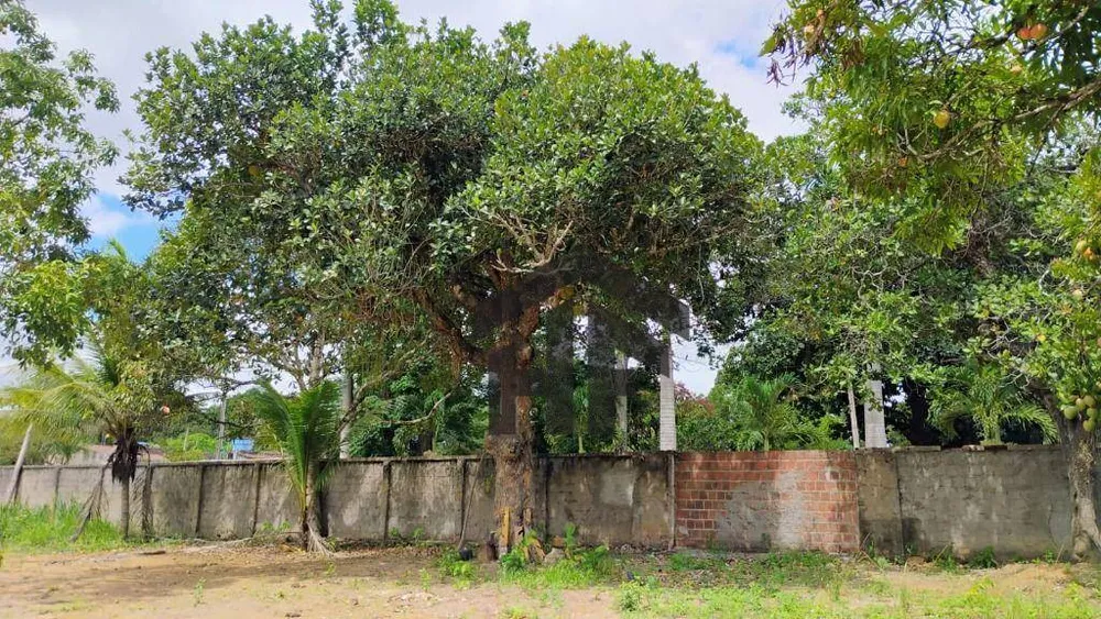 Terreno, 8 m² - Foto 8