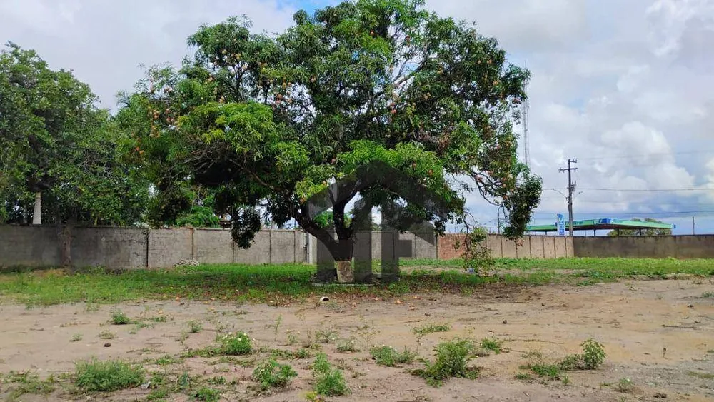 Terreno, 8 m² - Foto 10