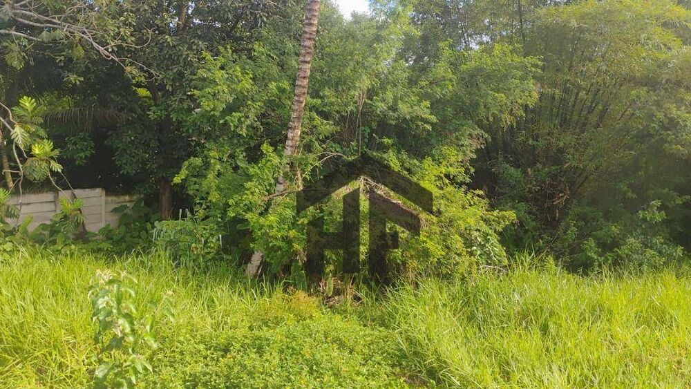 Terreno, 1 hectares - Foto 1