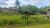 Terreno, 1 hectares - Foto 5