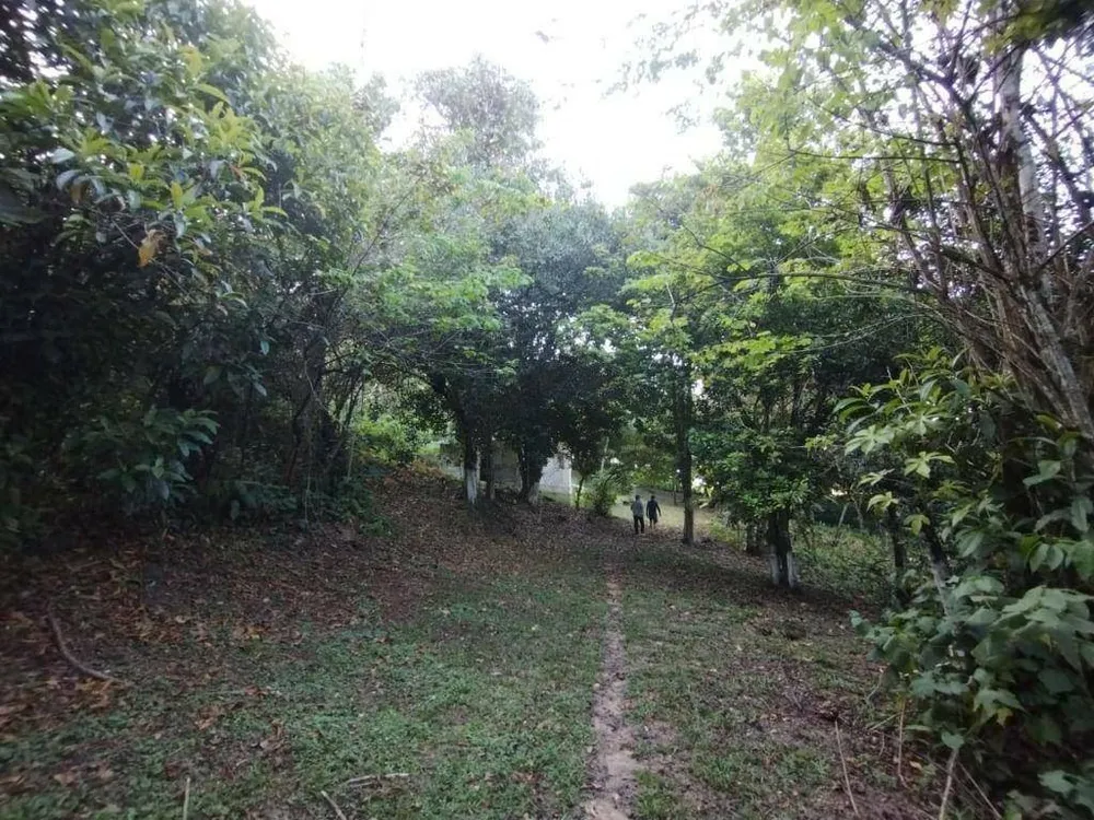 Terreno, 2 hectares - Foto 10