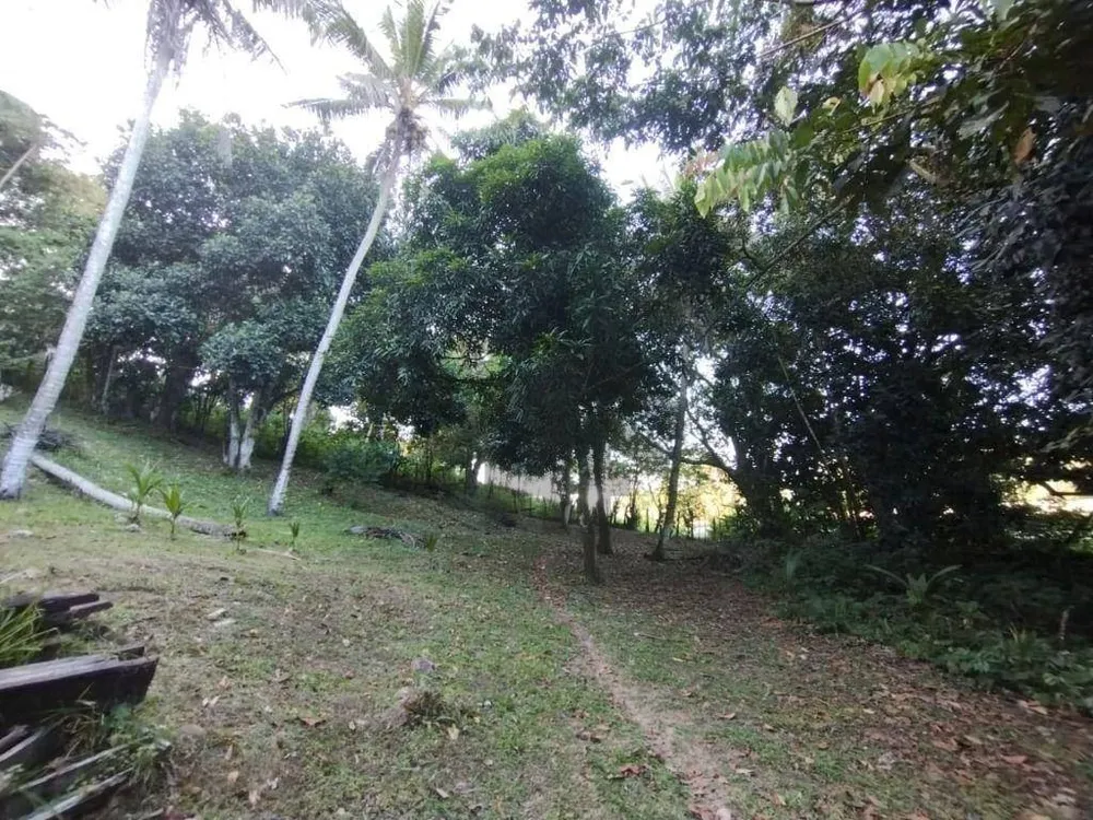 Terreno, 2 hectares - Foto 1