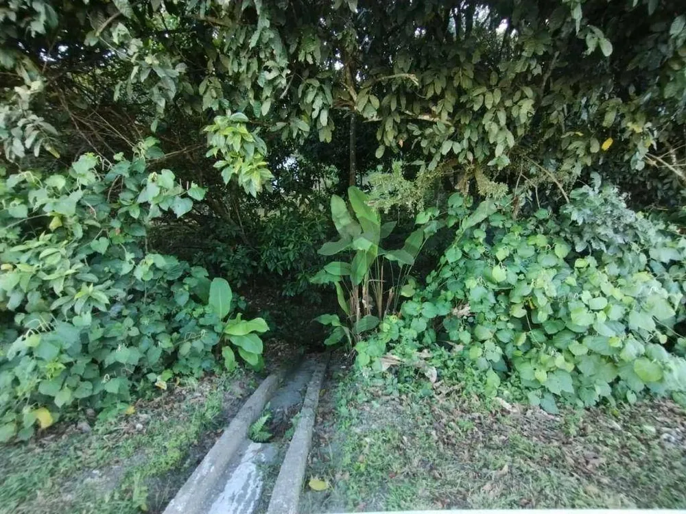 Terreno, 2 hectares - Foto 3