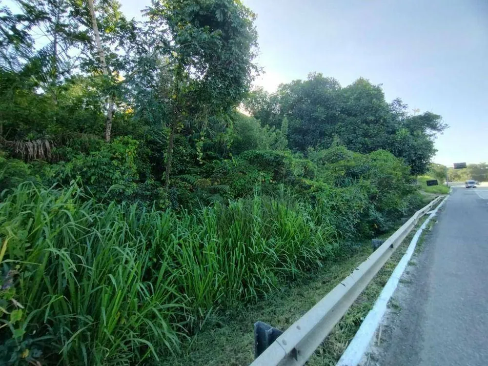 Terreno, 2 hectares - Foto 12