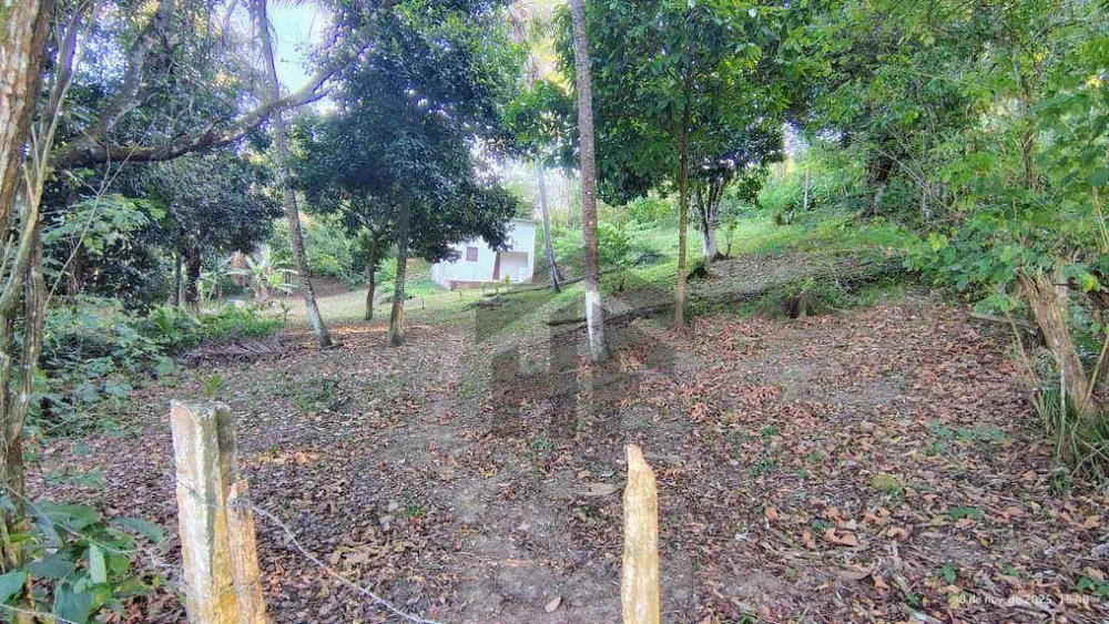 Terreno, 2 hectares - Foto 8