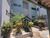 Apartamento, 3 quartos, 76 m² - Foto 2