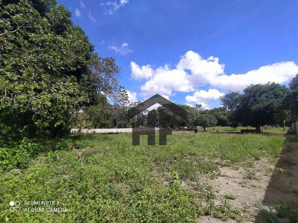 Terreno, 5000 m² - Foto 4