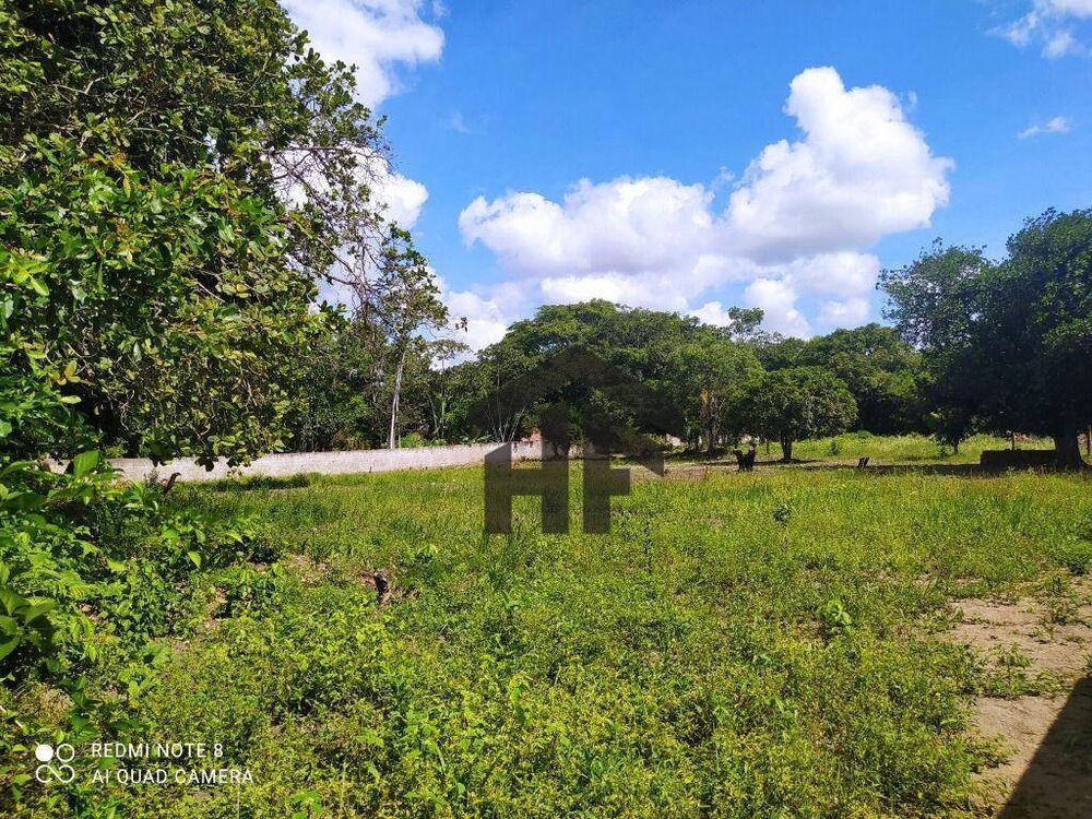 Terreno, 5000 m² - Foto 4