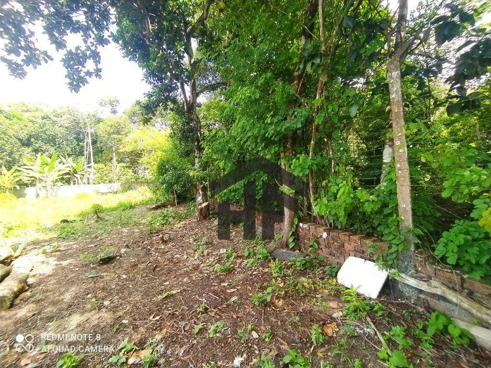 Terreno, 5000 m² - Foto 8