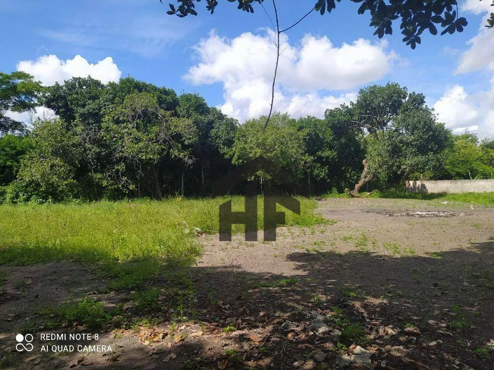 Terreno, 5000 m² - Foto 6