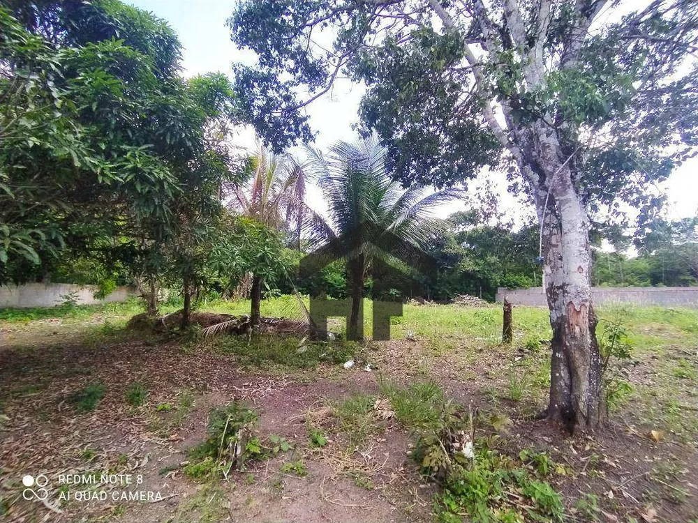 Terreno, 5000 m² - Foto 13