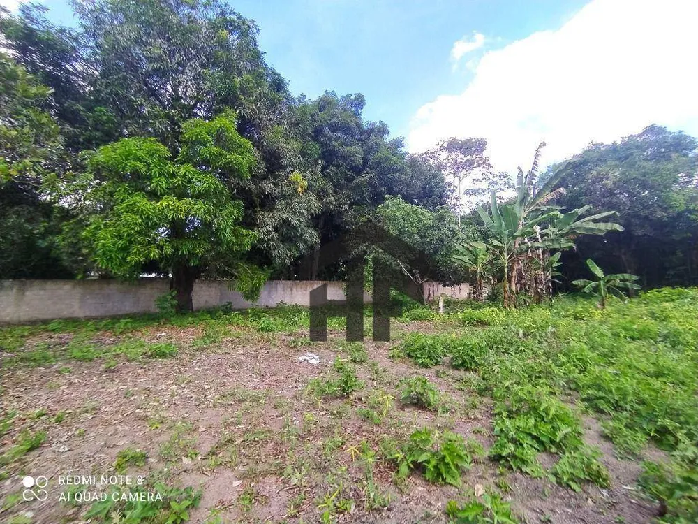 Terreno, 5000 m² - Foto 10
